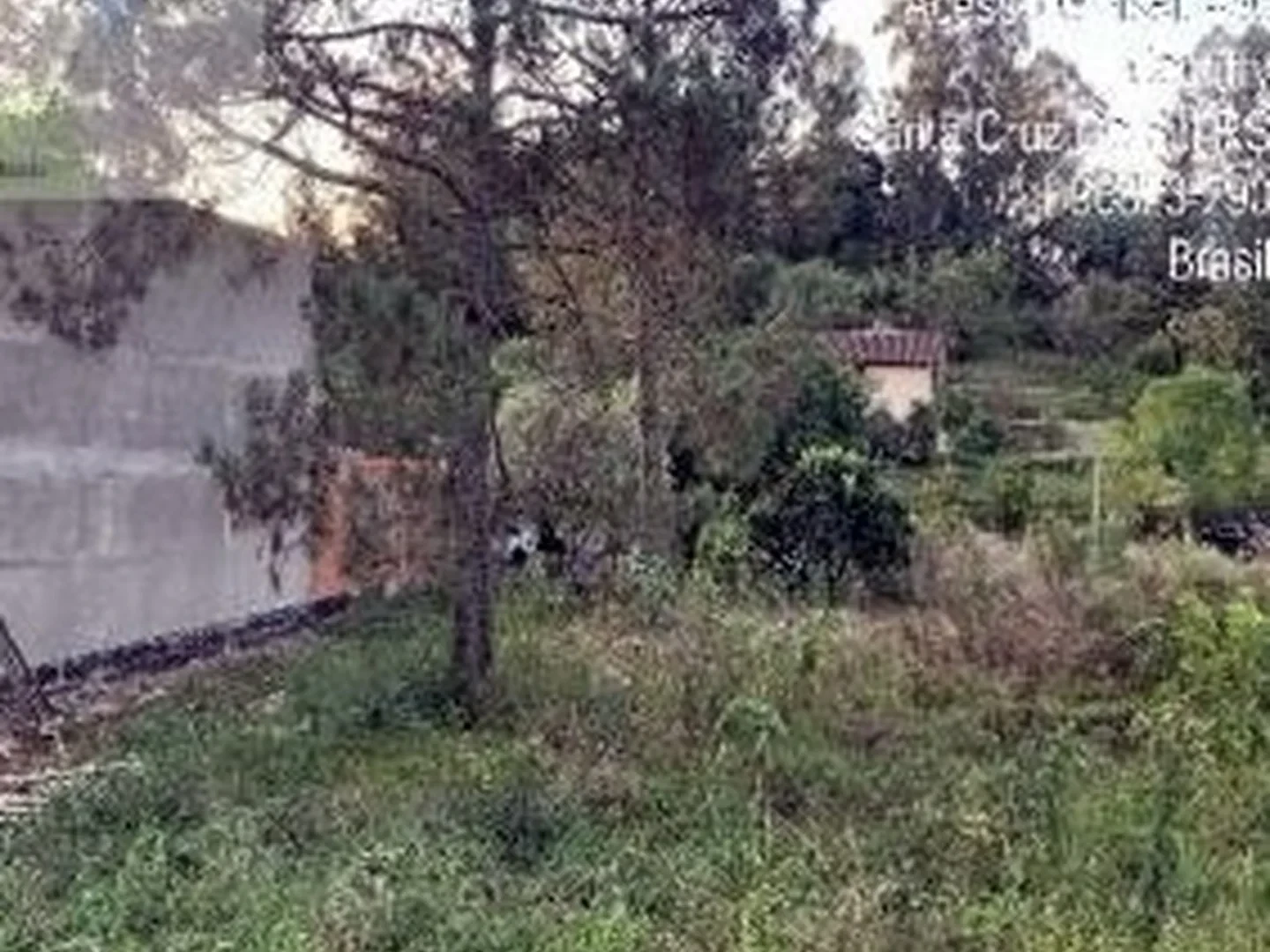 Terreno - Santa Cruz Do Sul, RS - foto 1
