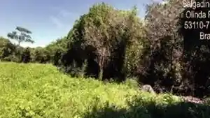 Terreno - Olinda, PE