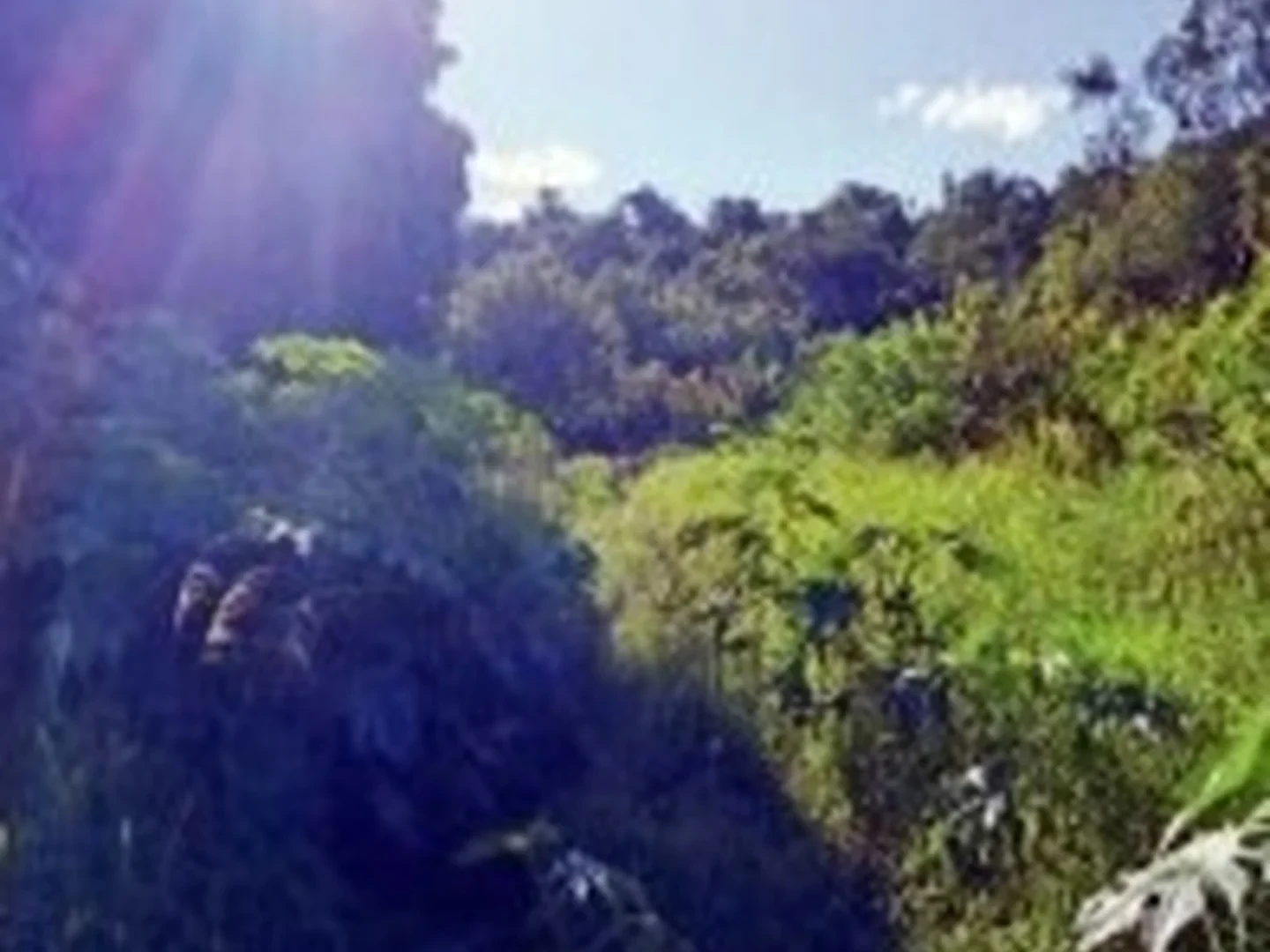 Terreno - Campo Mourao, PR - foto 1