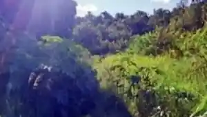Terreno - Campo Mourao, PR