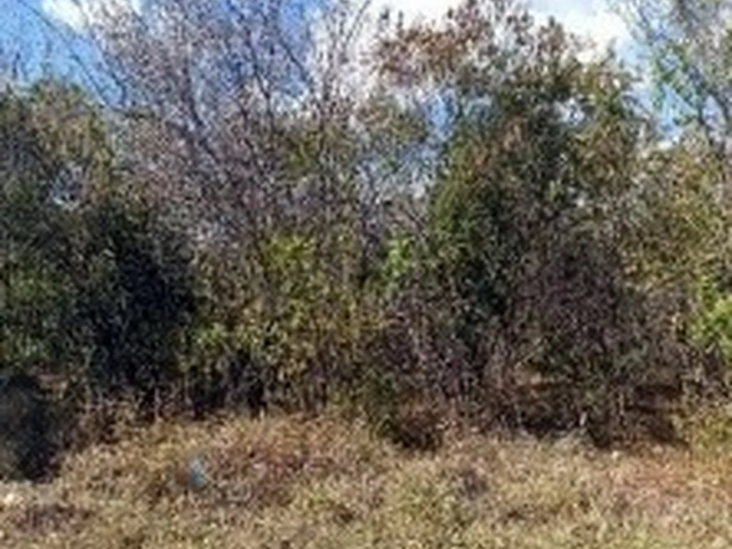 Terreno - Jaiba, MG - foto 1