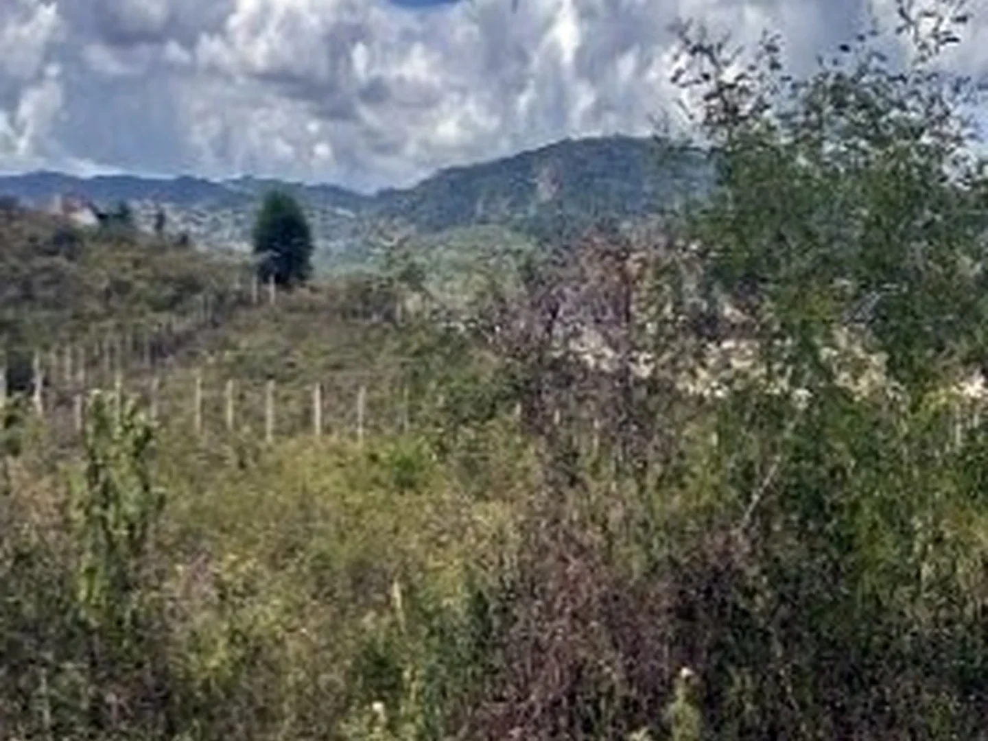 Terreno - Gravata, PE - foto 1