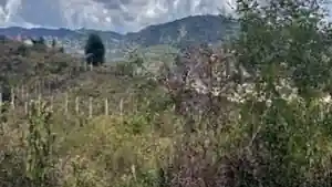 Terreno - Gravata, PE