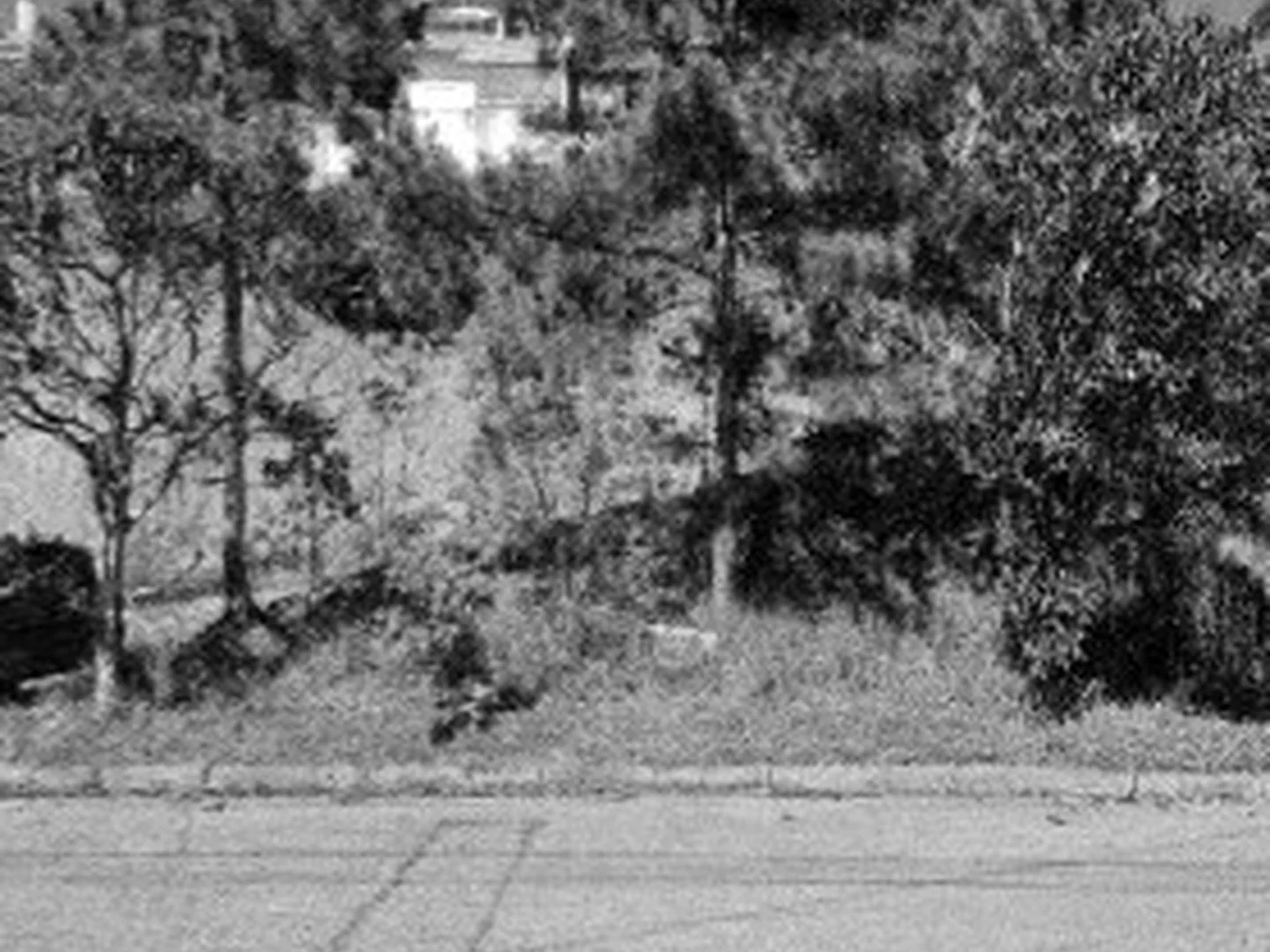 Terreno - Porto Alegre, RS - foto 1