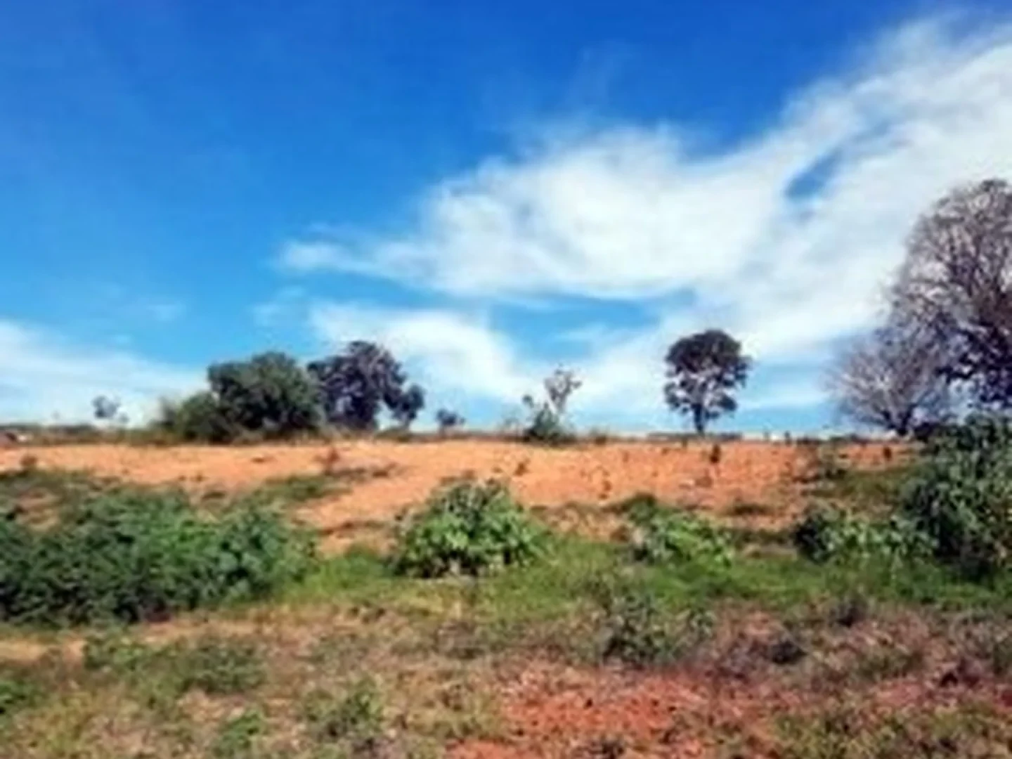 Terreno - Araguari, MG - foto 1