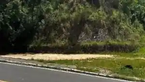 Terreno - Simoes Filho, BA