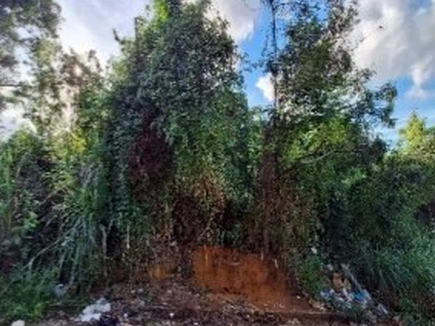 Terreno - Serra, ES - foto 1