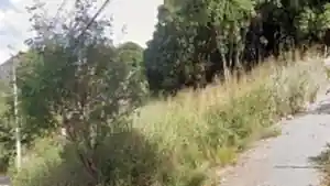 Terreno - Serra, ES