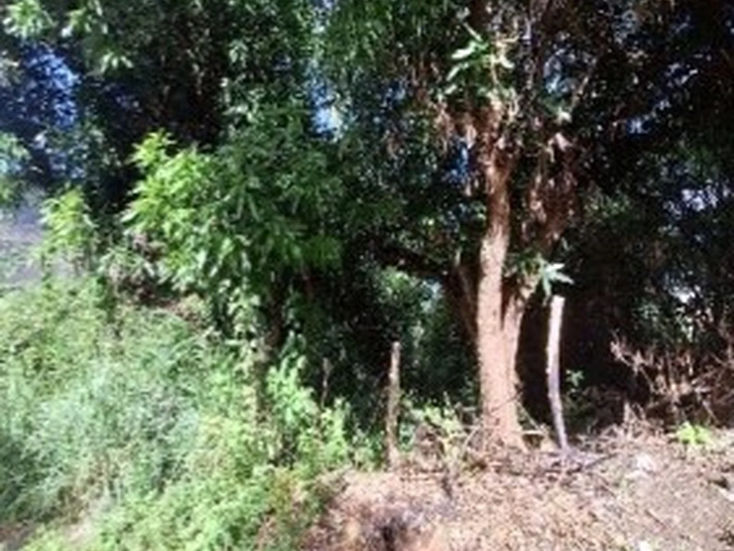 Terreno - Serra, ES - foto 1