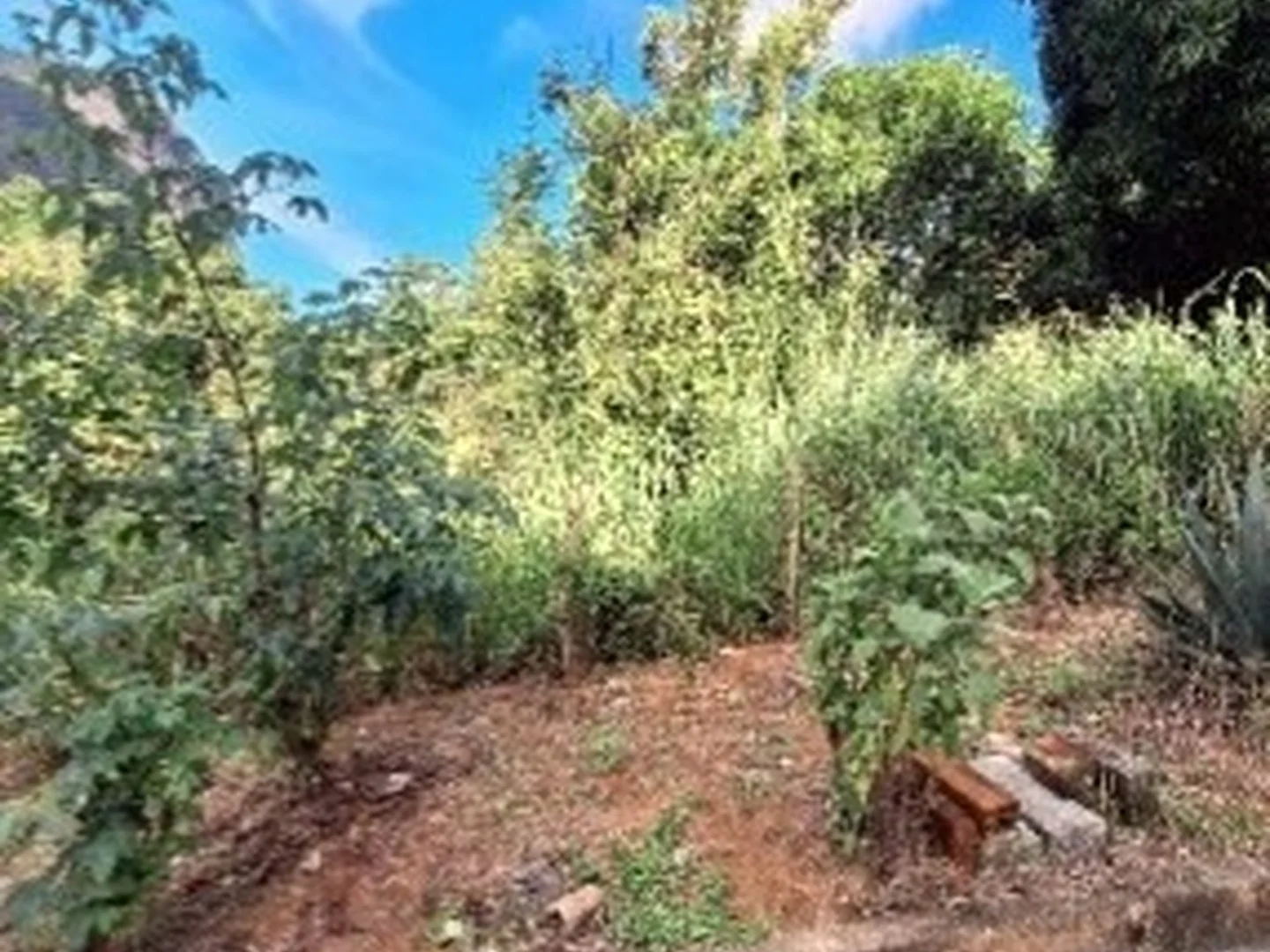 Terreno - Serra, ES - foto 1