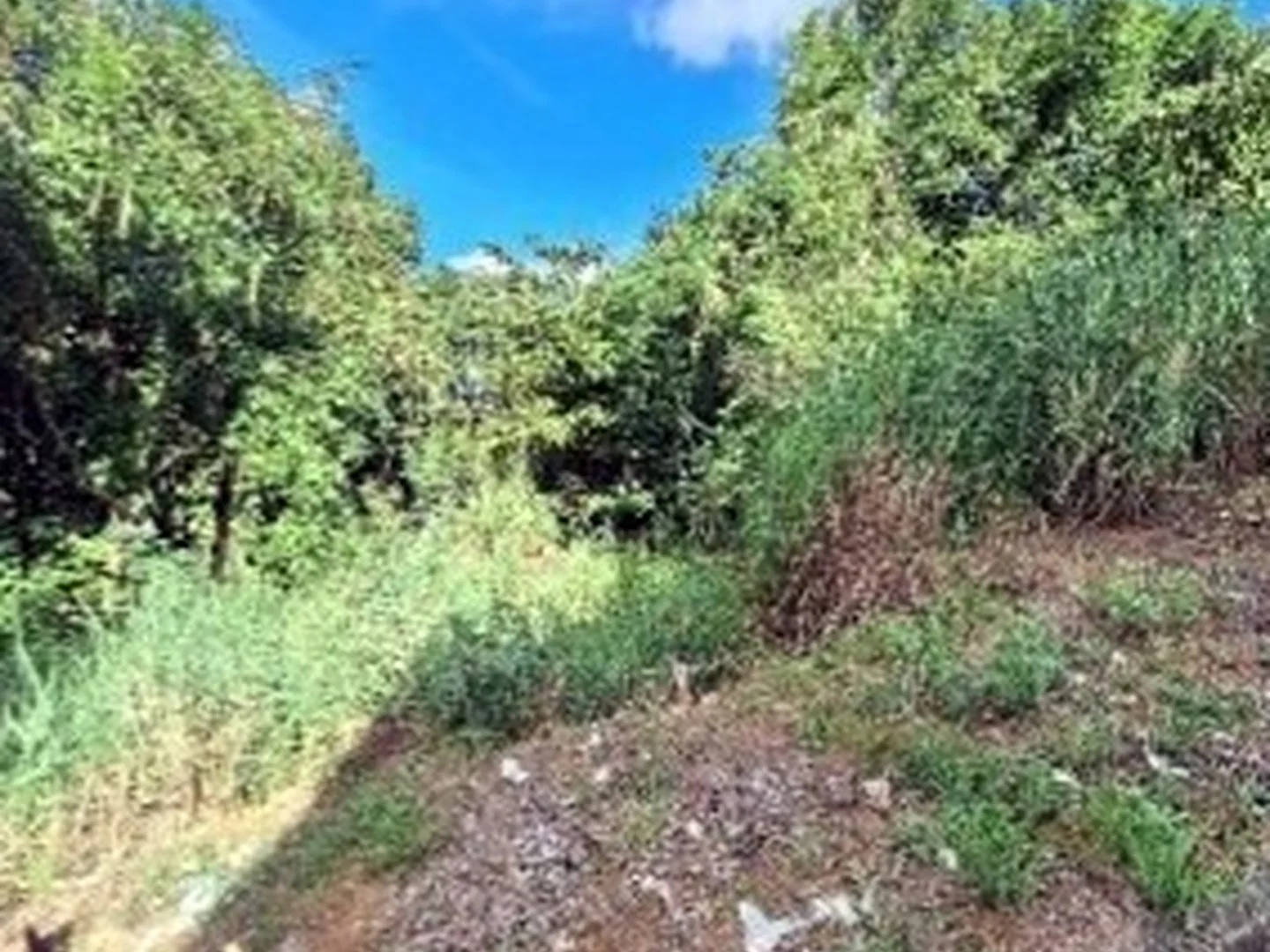 Terreno - Serra, ES - foto 1