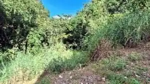 Terreno - Serra, ES