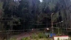 Terreno - Rio De Janeiro, RJ