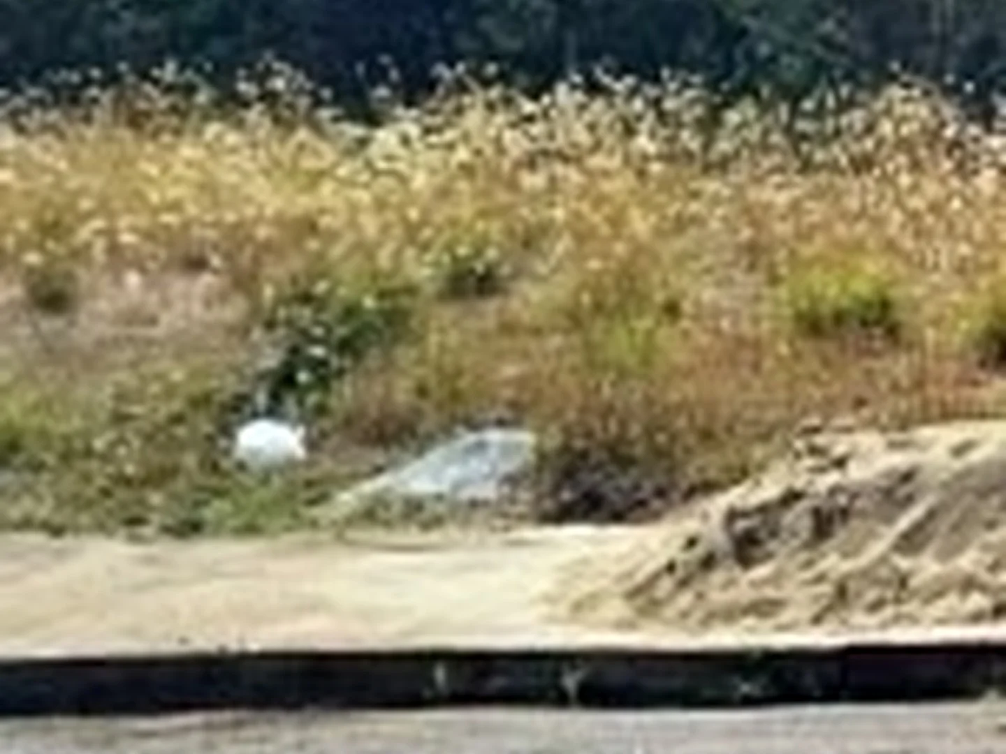 Terreno - Iacanga, SP - foto 1