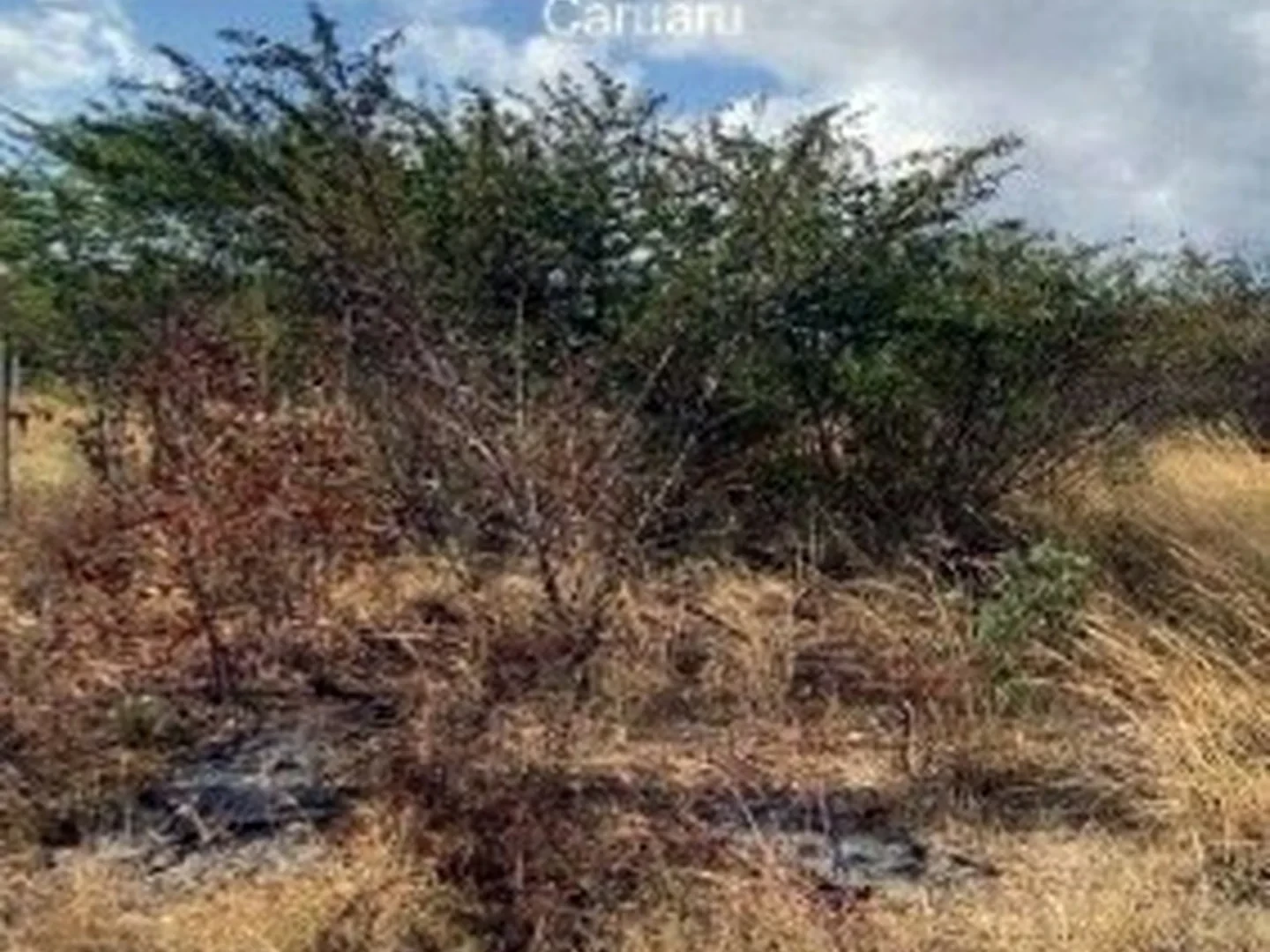 Terreno - Caruaru, PE - foto 1
