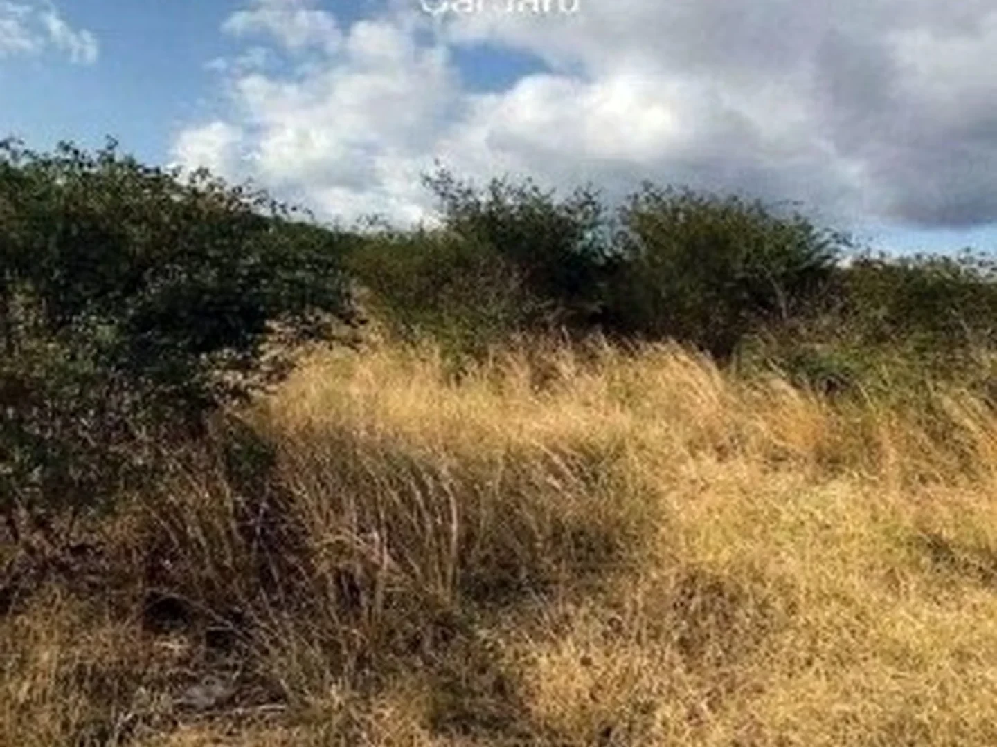 Terreno - Caruaru, PE - foto 1