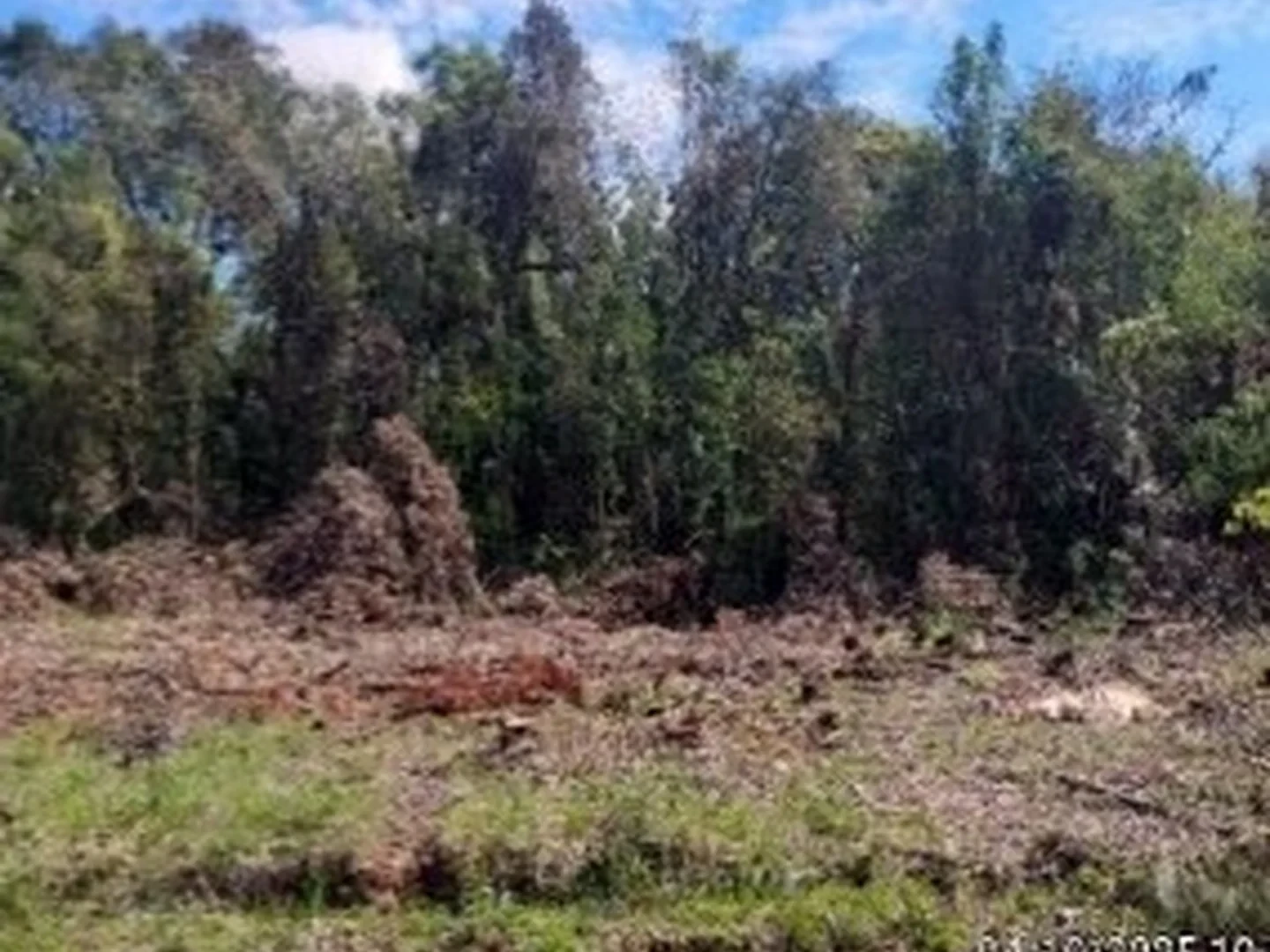 Gleba Urbana - Arvorezinha, RS - foto 1