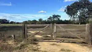 Imóvel Rural - Miracema Do Tocantins, TO