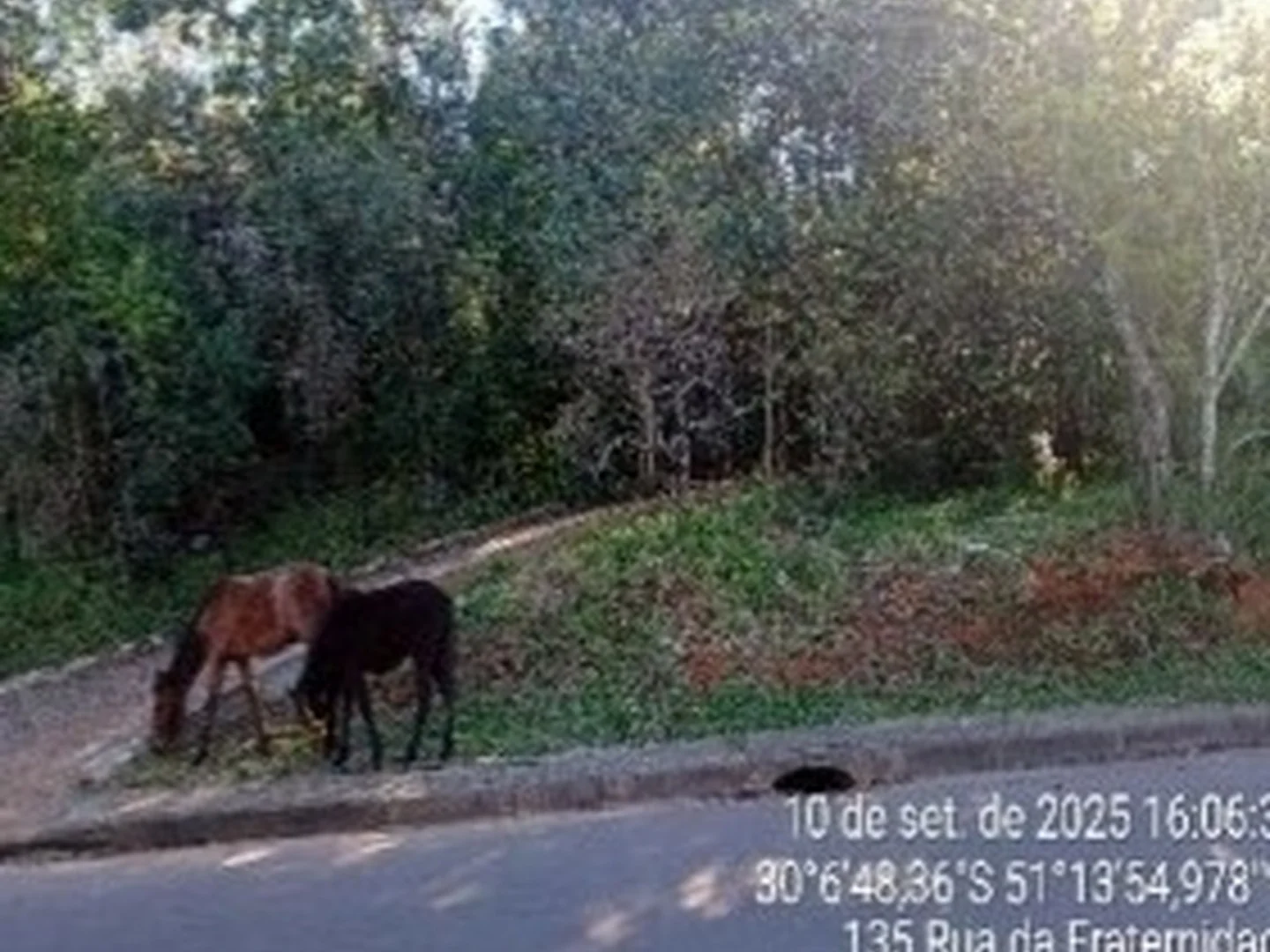 Terreno - Porto Alegre, RS - foto 1