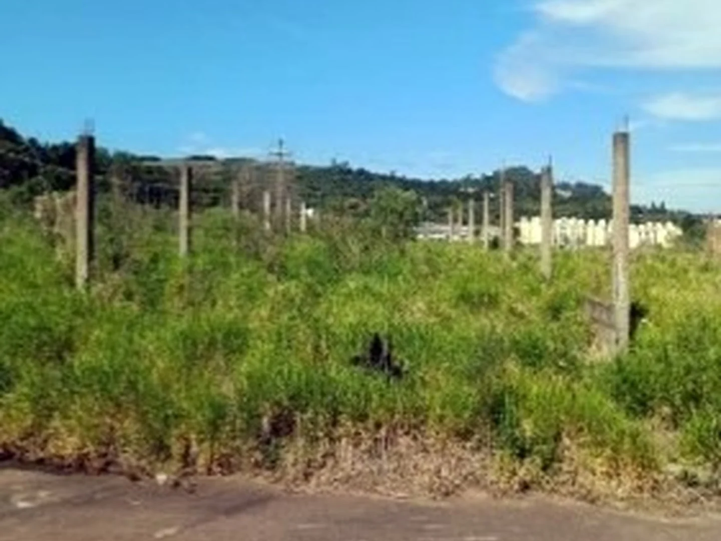 Terreno - Porto Alegre, RS - foto 1