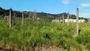 Terreno - Porto Alegre, RS