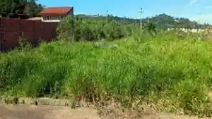 Terreno - Porto Alegre, RS