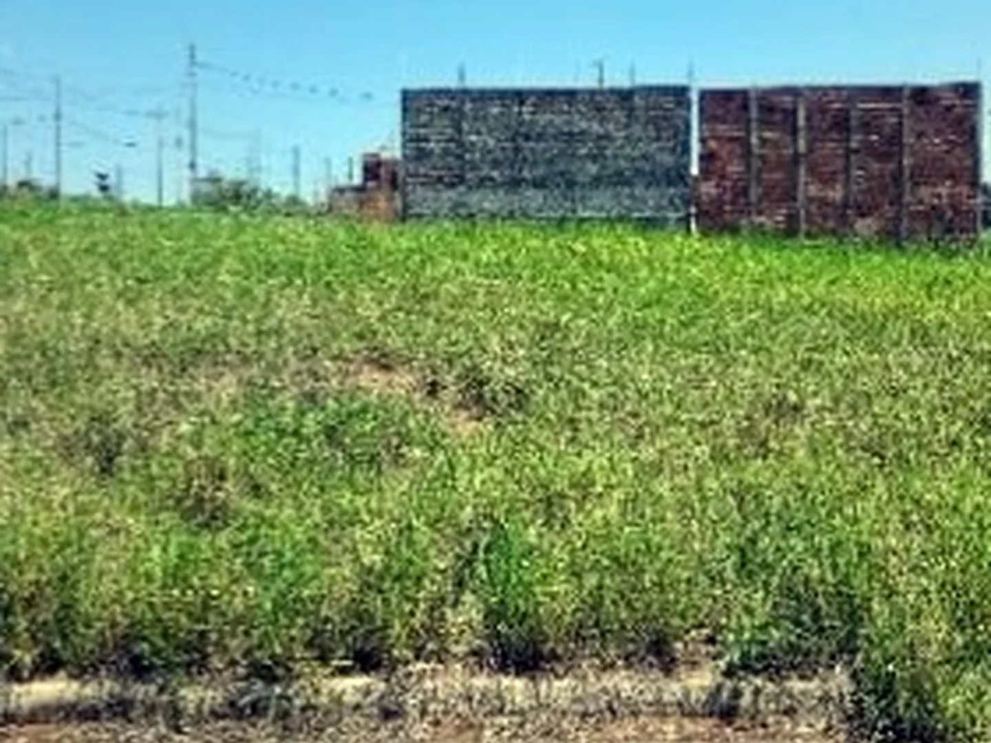 Terreno - Mogi Mirim, SP - foto 1