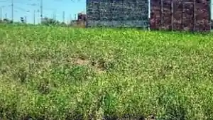 Terreno - Mogi Mirim, SP