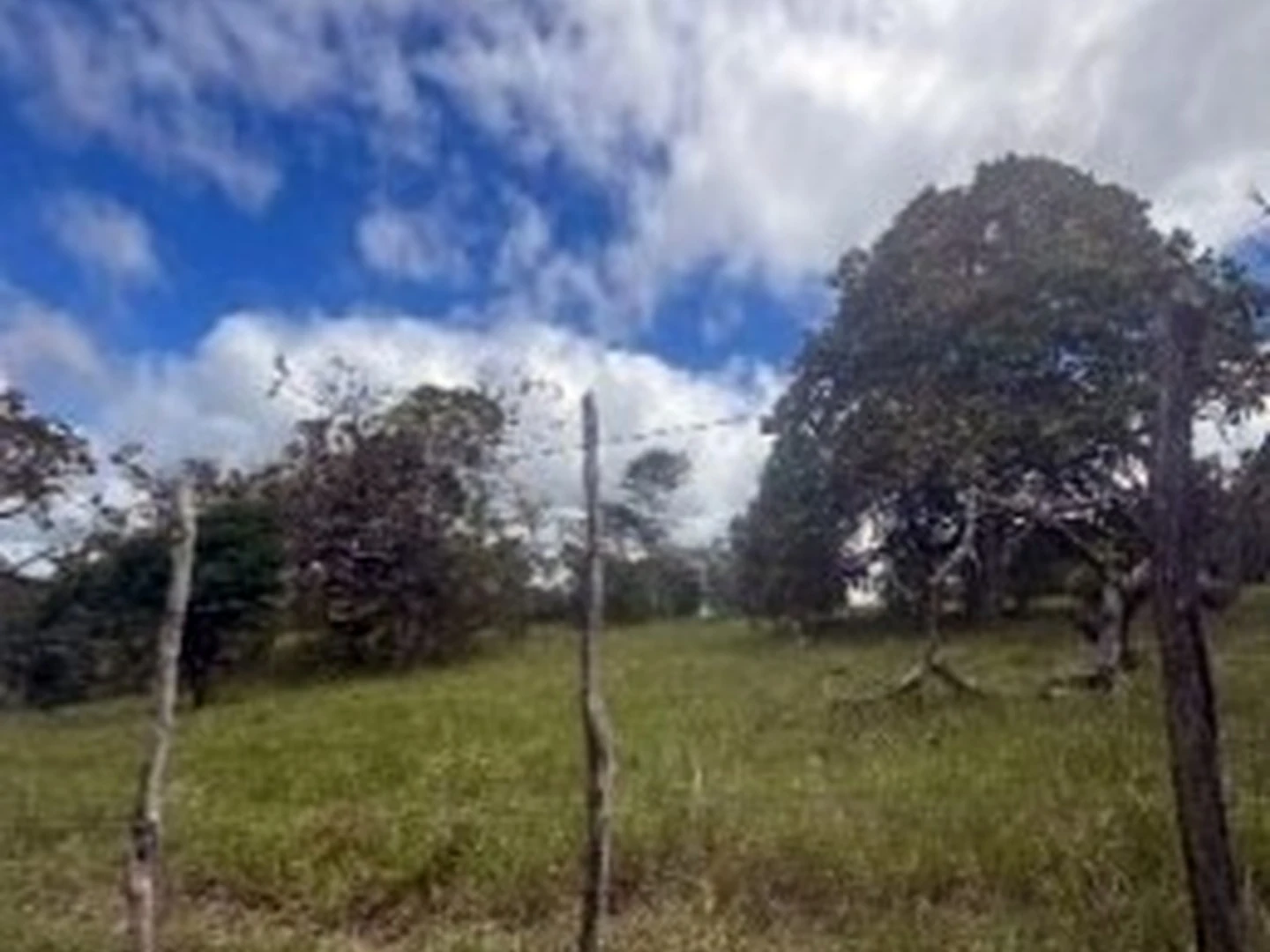Gleba - Canhotinho, PE - foto 1