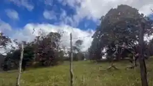 Gleba - Canhotinho, PE