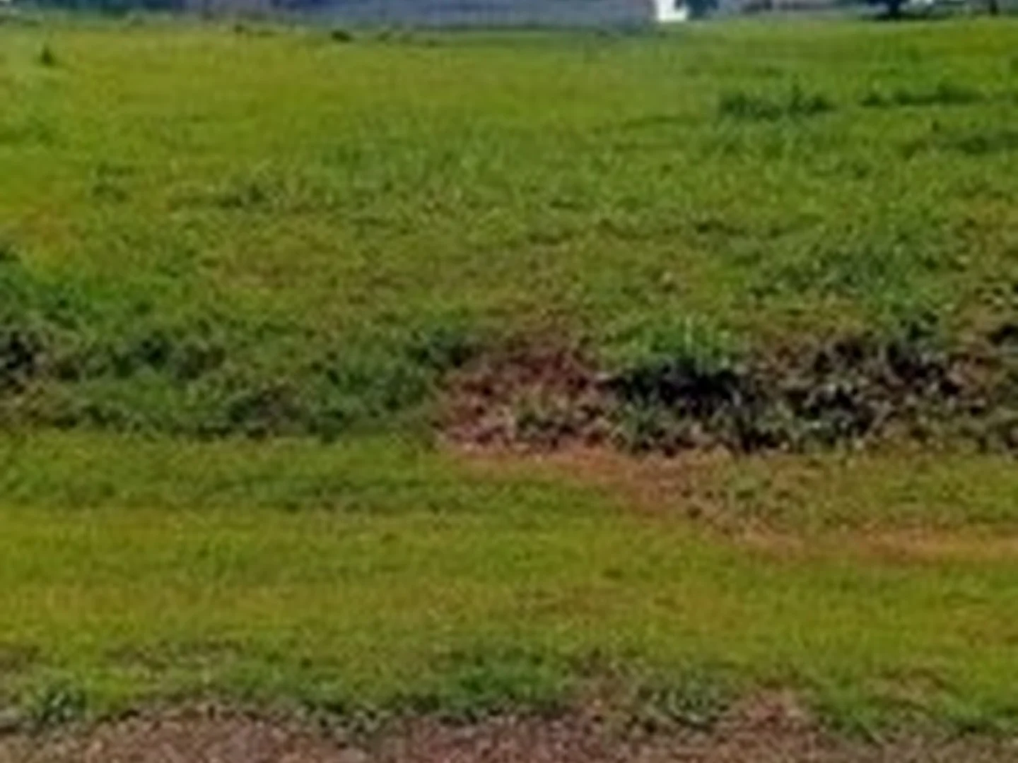 Terreno - Iacanga, SP - foto 1
