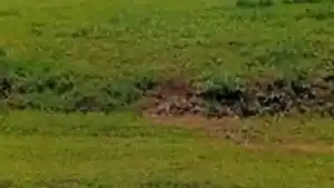 Terreno - Iacanga, SP