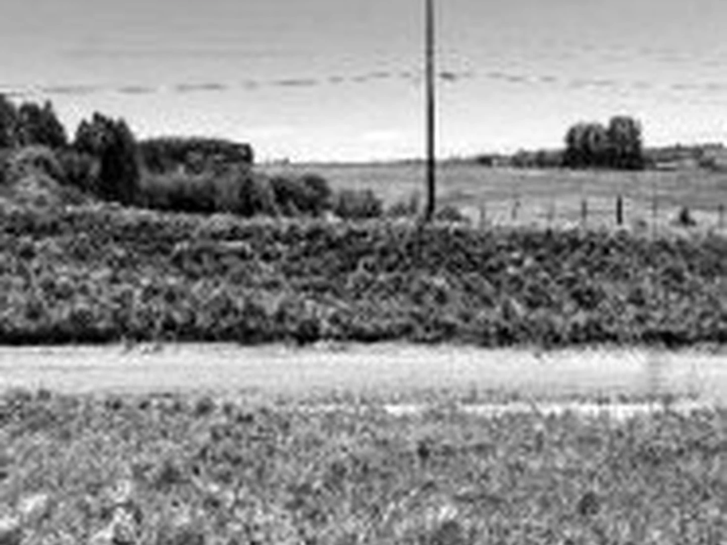 Terreno - Cruz Alta, RS - foto 1