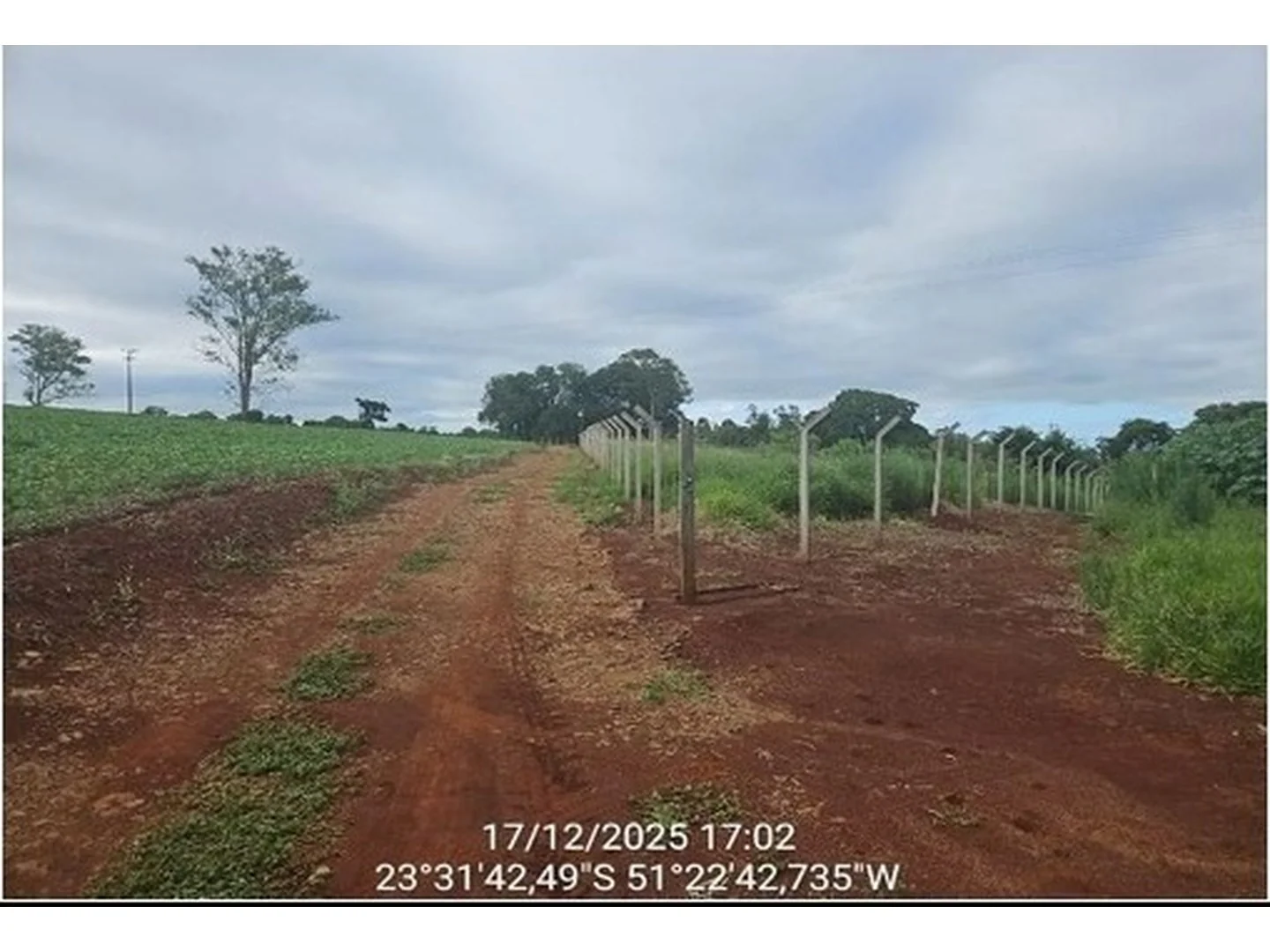 Imóvel Rural - Apucarana, PR - foto 1