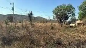 Terreno - Unai, MG