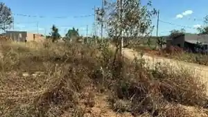 Terreno - Unai, MG