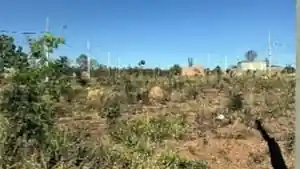 Terreno - Unai, MG