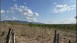 Imóvel Rural - Itaiba, PE