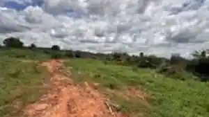 Gleba - Ibiassuce, BA