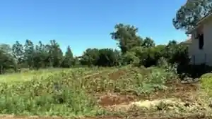 Terreno - Horizontina, RS