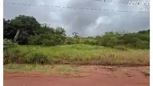 Terreno - Amapora, PR