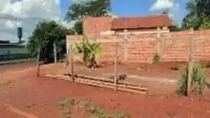 Terreno - Dourados, MS
