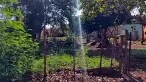 Terreno - Dourados, MS