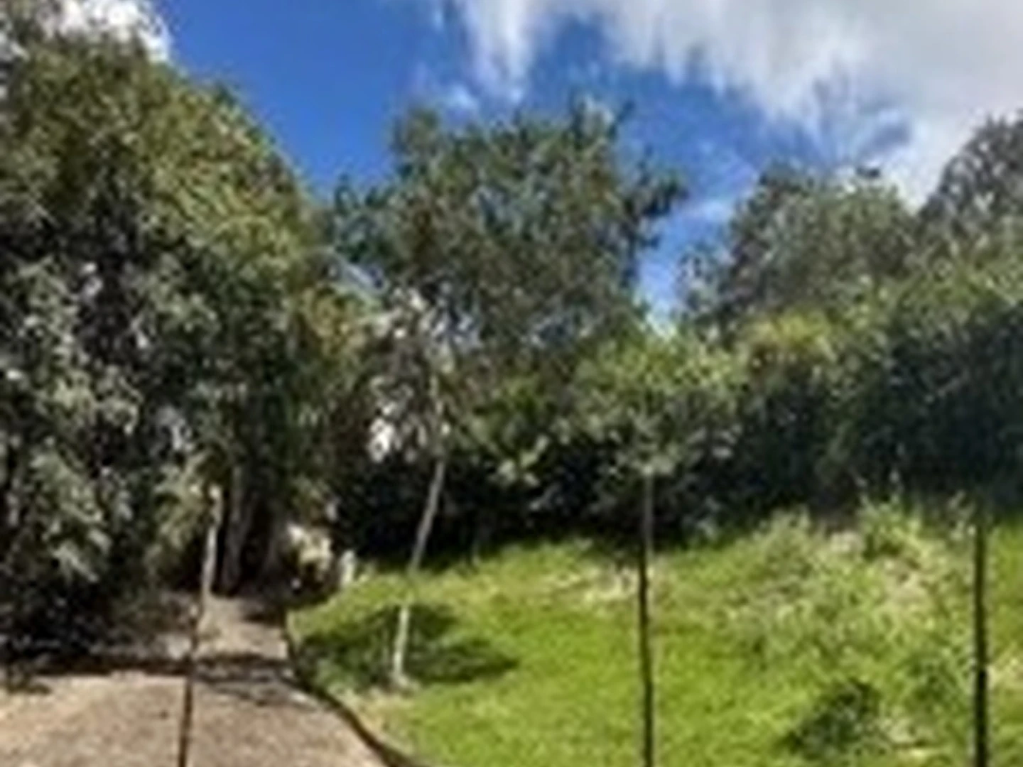 Imóvel Rural - Bezerros, PE - foto 1