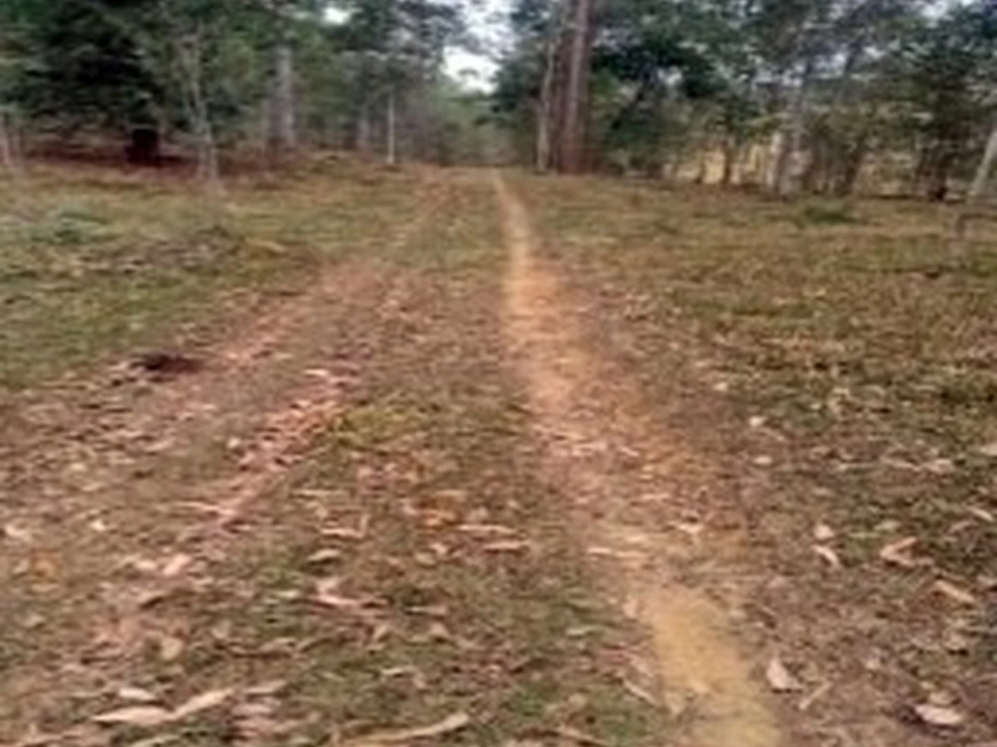 Imóvel Rural - Cataguases, MG - foto 1