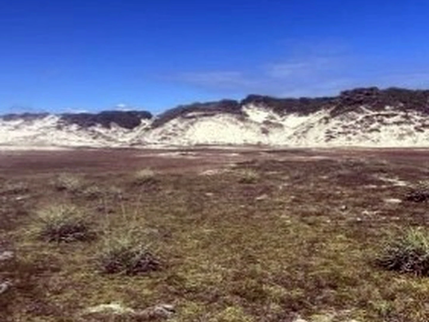 Terreno - Estancia, SE - foto 1