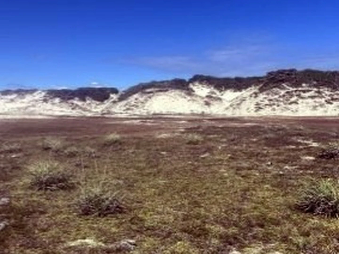 Terreno - Estancia, SE - foto 1