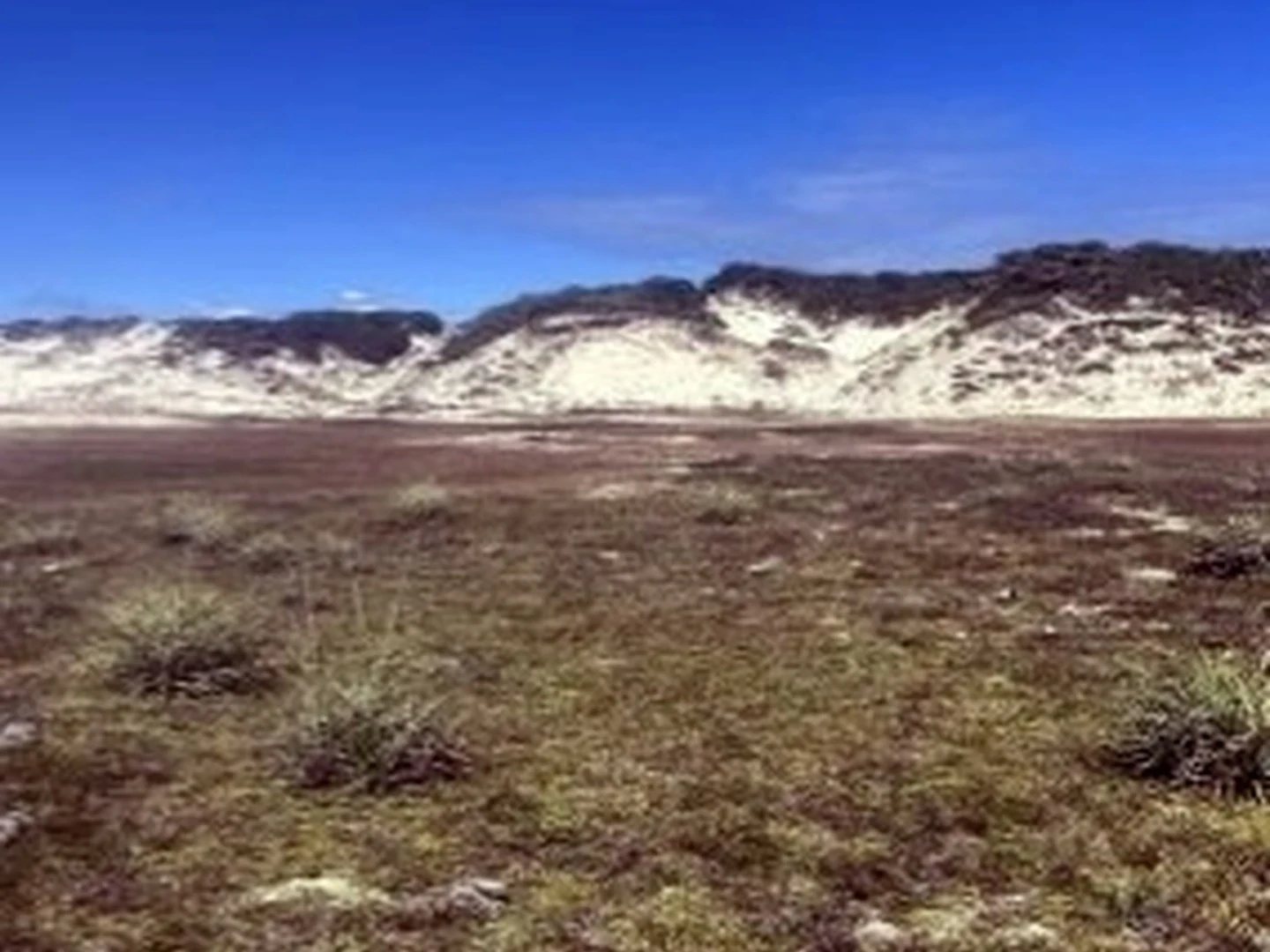 Terreno - Estancia, SE - foto 1