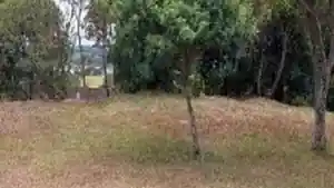 Terreno - Itu, SP