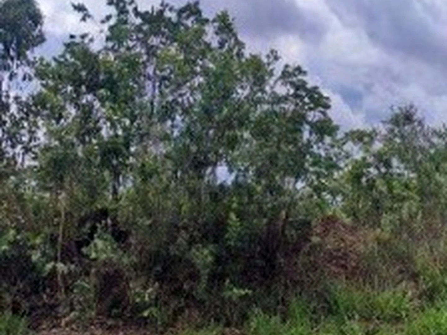 Terreno - Caldas Novas, GO - foto 1